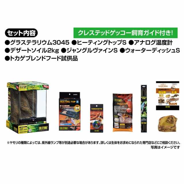 ＧＥＸ エキゾテラ グラステラリウム ゲッコー飼育セット ＧＴ３０４５