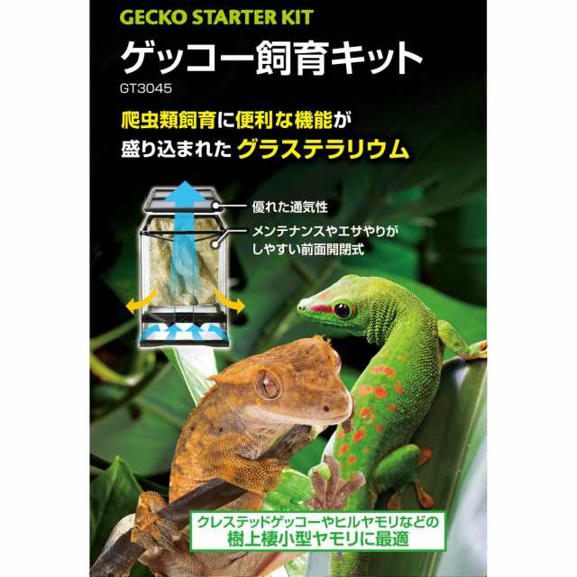 ＧＥＸ　エキゾテラ　グラステラリウム　ゲッコー飼育セット　ＧＴ３０４５　お一人様２点限り　沖縄別途送料｜au PAY マーケット