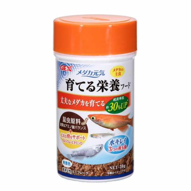 ＧＥＸ メダカ元気 育てる栄養フード ３０ｇの通販はau PAY マーケット - チャーム | au PAY マーケット－通販サイト