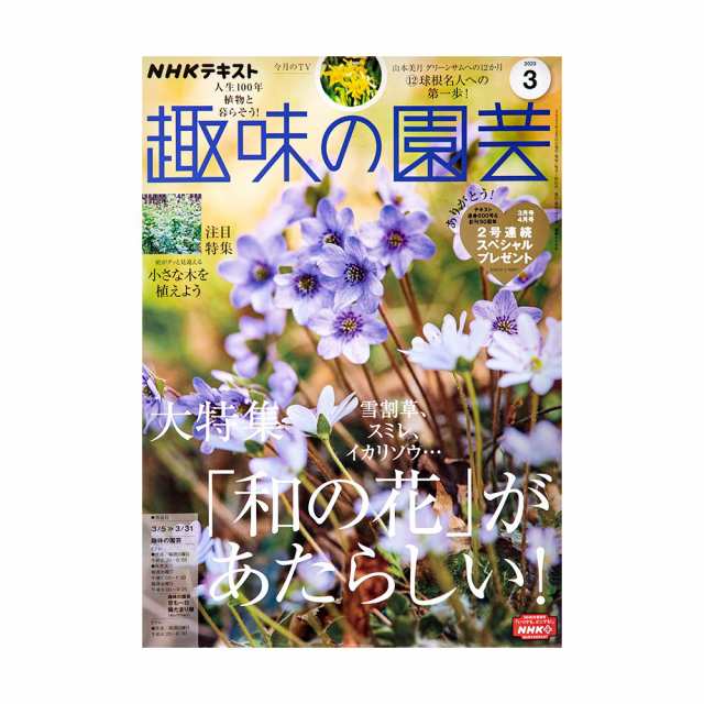 ＮＨＫ趣味の園芸 ２０２３年３月号 大特集 「和の花」があたらしい