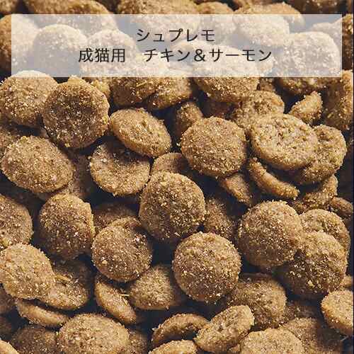 ニュートロ ナチュラルチョイス 室内猫用 アダルト チキン ５００ｇ ＋