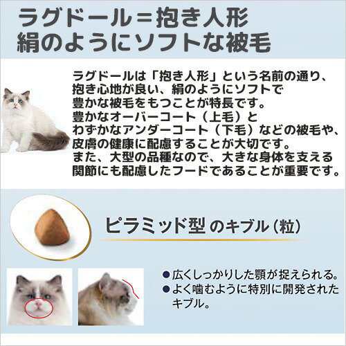 ロイヤルカナン 猫 ラグドール 成猫用 400g キャットフード