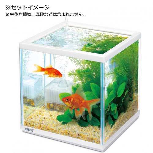 ＧＥＸ 金魚用水槽（２０×２０×２０ｃｍ）＋冷却ファンセット 金魚