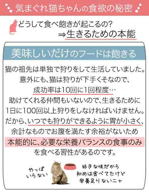 ロイヤルカナン インドア ローフ 室内で生活する成猫用 生後12ヵ月齢以上 (猫・キャット) [正規品]