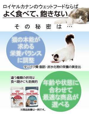 ロイヤルカナン 猫用 キャットフード 猫 ウェット おねだりの多い成猫