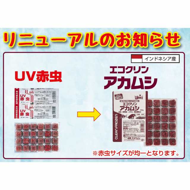 冷凍☆キョーリン エコクリンアカムシ １００ｇ １枚 冷凍赤虫 別途