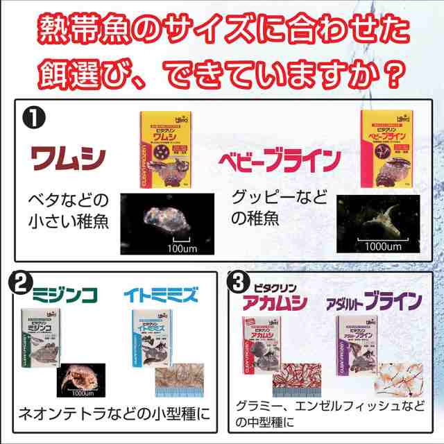 キョーリン ビタクリン ミジンコ １００ｇ １２枚セット  北海道・沖縄別途送料