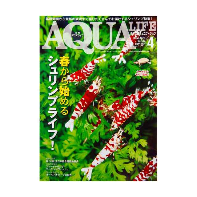 アクアライフ ４月号 （２０２４）