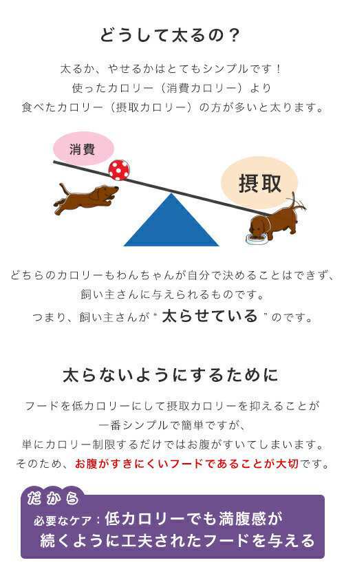 ロイヤルカナン 犬用 ドッグフード　避妊・去勢犬用　小型犬用　ミニ　ステアライズド　生後１０ヵ月齢以上　４ｋｇ×４　ジップ付（ドッ