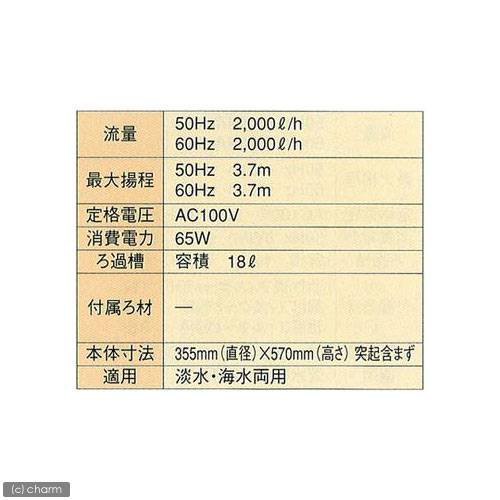 外部フィルター　エーハイム　クラシックフィルター　２２６０　６０Ｈｚ　西日本用　水槽用外部フィルター　メーカー保証期間２年