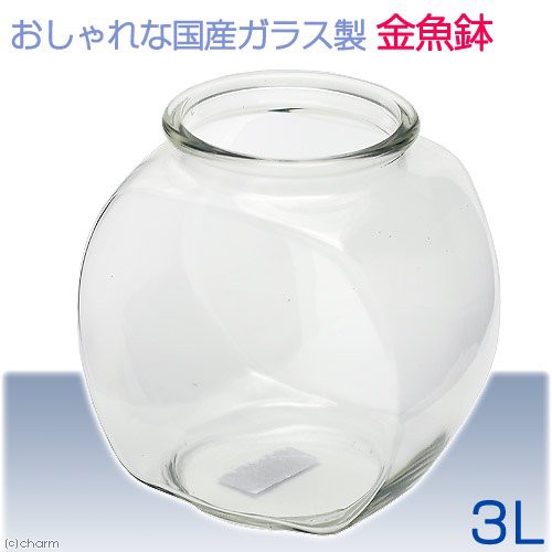 Amazon.co.jp: 金魚鉢 金魚袋 でめきん 水風船 オイルチャーム