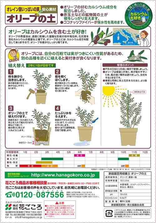 花ごころ オリーブの土 オリーブの肥料 デローマ バッサム 直径３１ｃｍ ２３ｃｍ セット お一人様５点限りの通販はau Pay マーケット チャーム