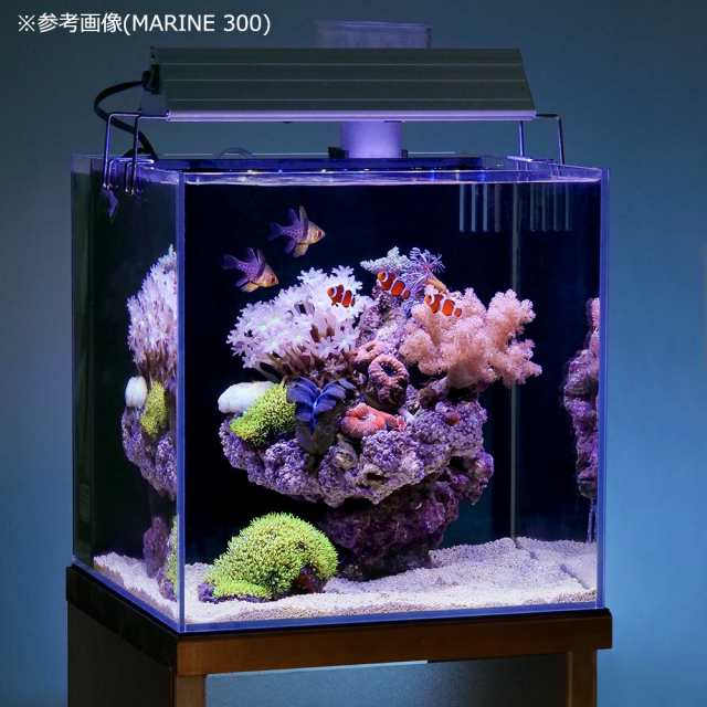 観賞魚用LED アクロ TRIANGLE MARINE 900