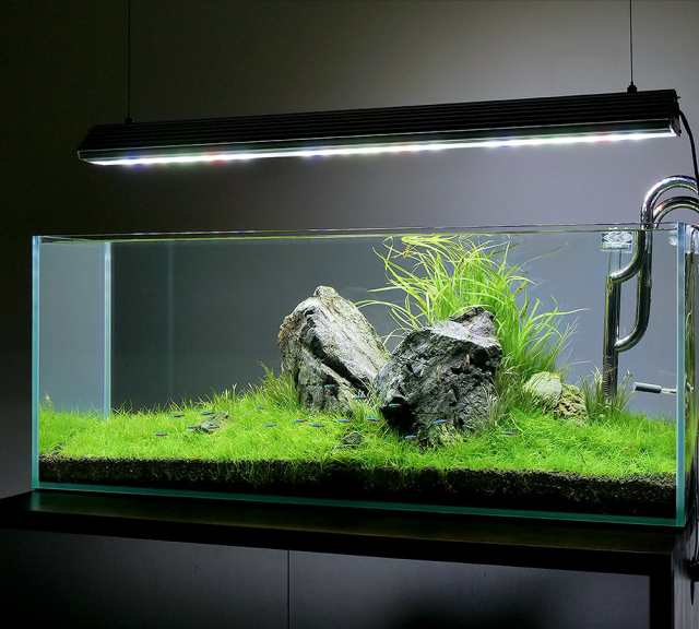 アクロ ＴＲＩＡＮＧＬＥ ＬＥＤ ＧＲＯＷ Ｐｒｏ ９００ １３３５０ｌｍ 水草育成 水槽ライト アクアリウム 照明の通販はau PAY マーケット  - チャーム | au PAY マーケット－通販サイト