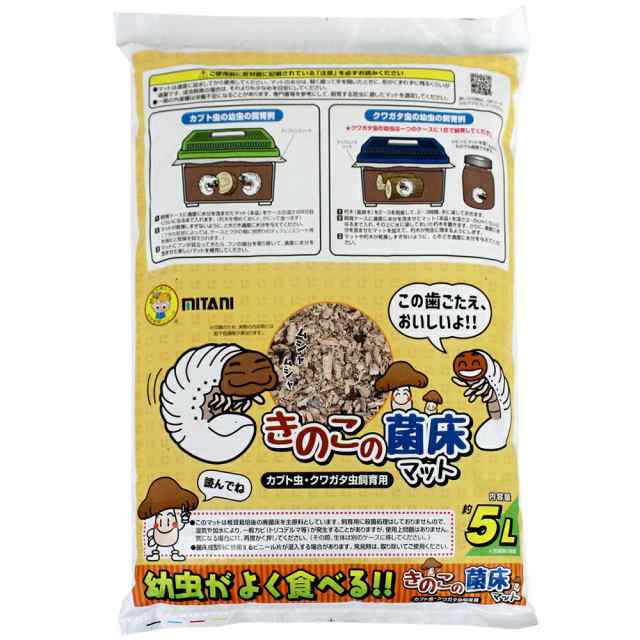 ミタニ きのこの菌床マット ５ｌ 昆虫マット 昆虫 カブトムシ クワガタ 幼虫の通販はau Pay マーケット チャーム