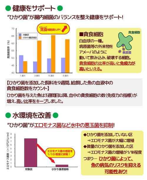 キョーリン　ゴールドプロス　１５０ｇ　金魚のえさ　色揚げ　汚れ防止　金魚の餌　お一人様３０点限