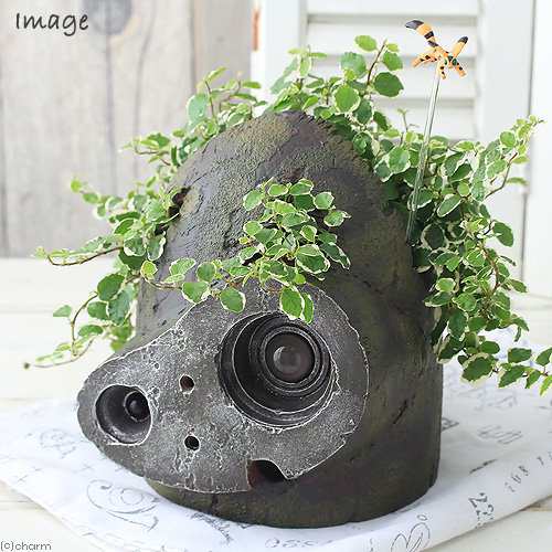 観葉植物 ジブリプランター 天空の城ラピュタ ロボット兵の思い フィカス プミラ仕立て 植え込み完成品 １鉢 の通販はau Pay マーケット チャーム