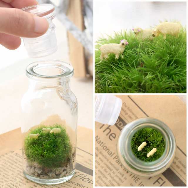 観葉植物 苔ｔｅｒｒａｒｉｕｍ 羊の丘 テラリウムキット 本州四国限定の通販はau Pay マーケット チャーム