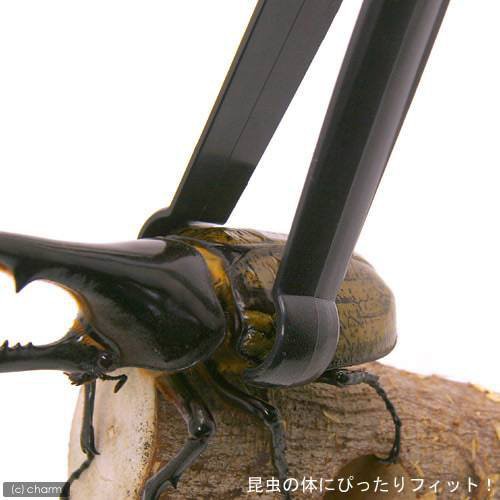 ミタニ 昆虫専用ピンセット 昆虫 標本用品 カブトムシ クワガタの通販はau Pay マーケット チャーム ミタニ 昆虫専用ピンセット 昆虫 標本用品 カブトムシ クワガタの通販はau Pay マーケット チャーム