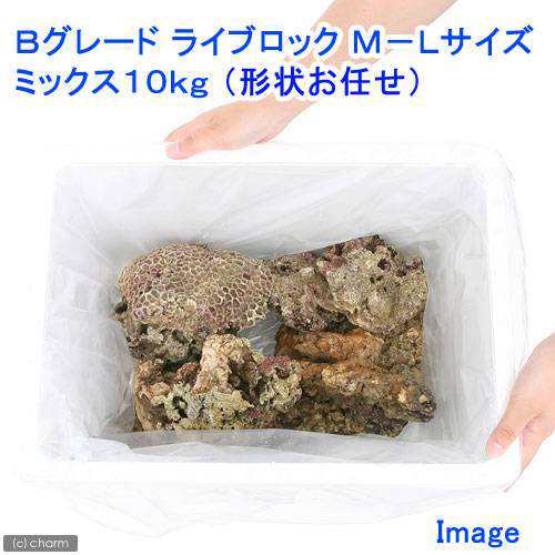 （海水魚）Ｂグレードライブロック　Ｍ−Ｌサイズミックス（１０ｋｇ）（形状お任せ）　北海道・九州航空便要保温の通販は