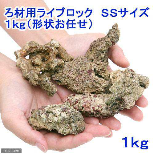 海水魚 ろ材 バクテリア付き ろ材用ライブロック ｓｓサイズ １ｋｇ 形状お任せ 北海道 九州 沖縄航空便要保温の通販はau Pay マーケット チャーム