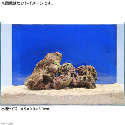 海水魚 ｓグレードライブロック ３０ｃｍキューブ水槽セット １セット 形状お任せ 北海道航空便要保温 沖縄別途送料の通販はau Pay マーケット チャーム