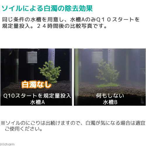 ｑ１０スタート 淡水用 ２５０ｍｌ 植物由来 白濁除去 エビに優しいカルキ抜き の通販はau Pay マーケット チャーム