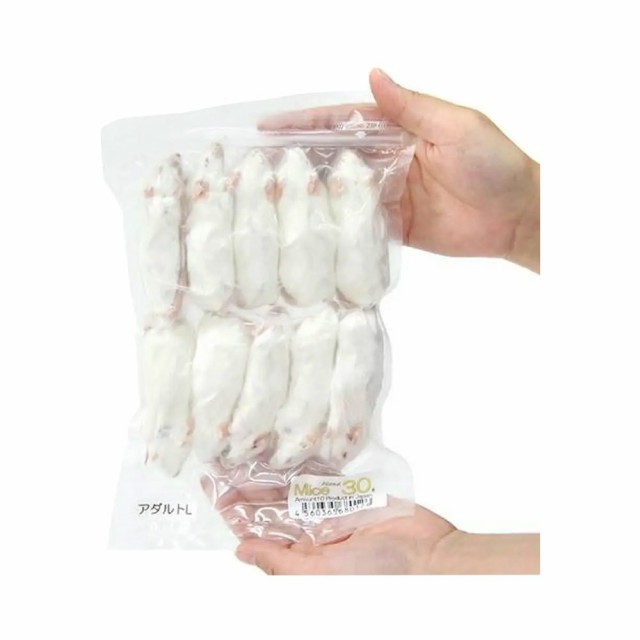 冷凍リタイアマウス 10匹入り