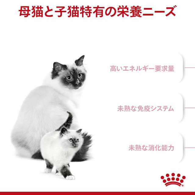 ロイヤルカナン 猫用 キャットフード 猫 マザー＆ベビーキャット 成長