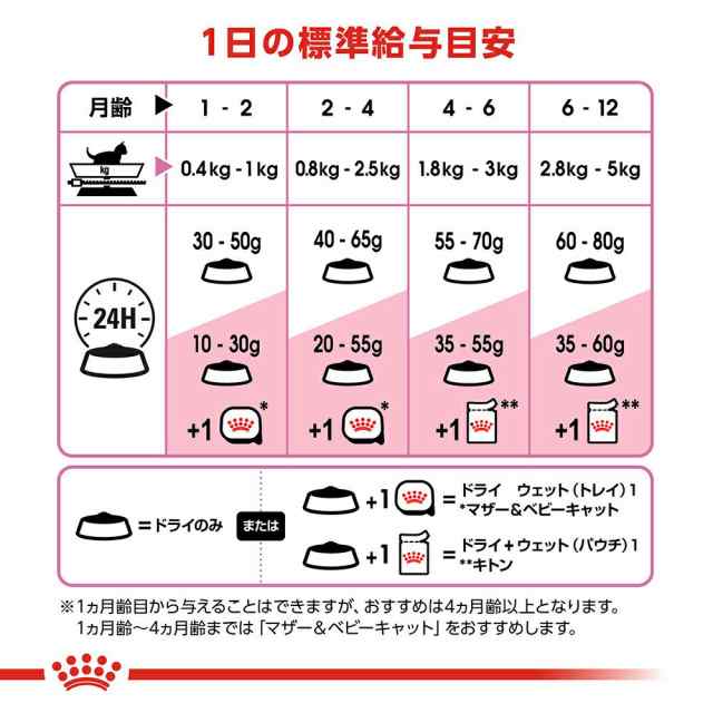 最短当日発送 ロイヤルカナン キトン 成長後期の子猫用10kg | www