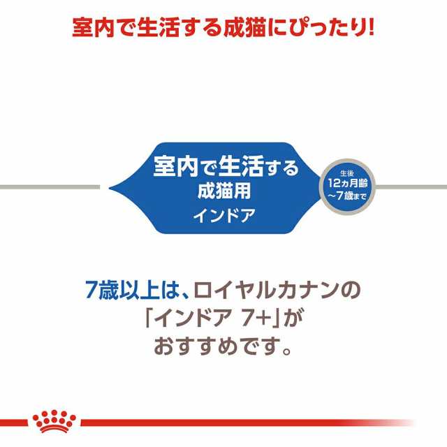 ロイヤルカナン  4kg室内で生活する猫用インドア　キャットフード