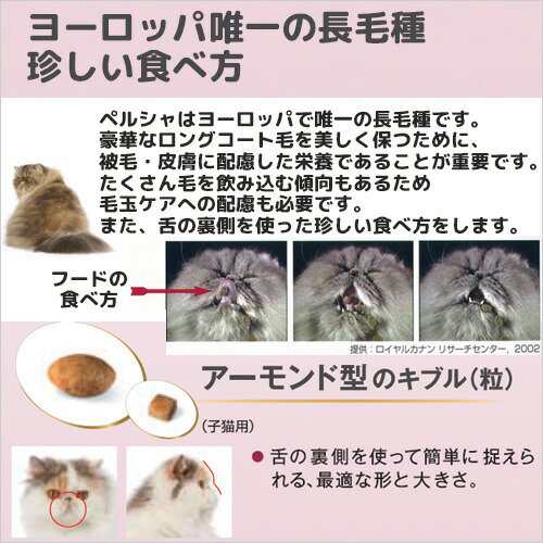 ロイヤルカナン 猫用 キャットフード 猫 ペルシャ・チンチラ