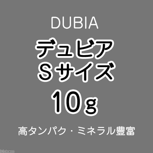 生餌 デュビア アルゼンチンモリゴキブリ ｓサイズ １０グラム 約３５匹 の通販はau Pay マーケット チャーム