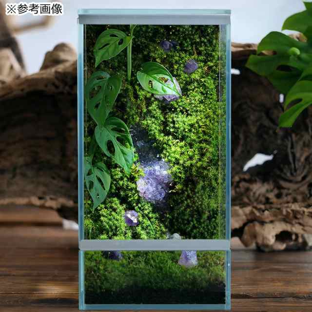 98%OFF!】 形状お任せ アメジスト 紫水晶 100g 鉱物 鉱石 テラリウム レイアウト素材 形状お任せ アメジスト(紫水晶) 100g 鉱物 鉱石 テラリウム レイアウト素材
