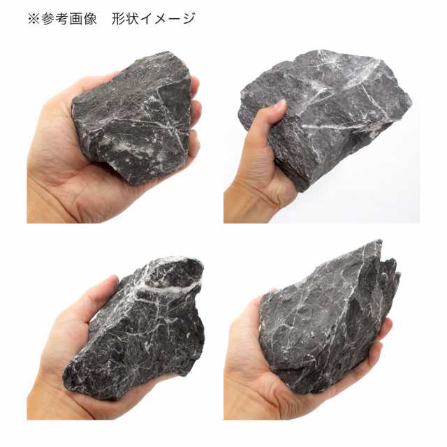 形状お任せ 影山石 サイズミックス（約５～３０ｃｍ） １０ｋｇ ６０ｃｍ水槽向け アクアリウム テラリウム レイアウト素材の通販はau PAY  マーケット - チャーム