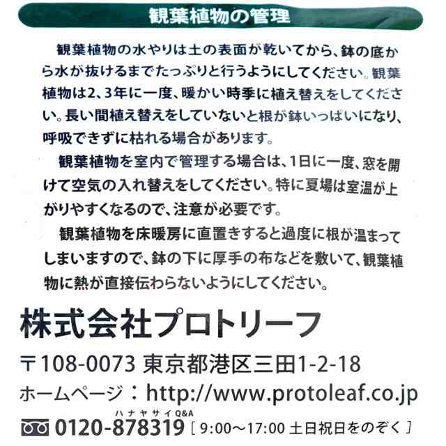 培養土 プロトリーフ 観葉植物の土 １４Ｌ お一人様４点限りの通販はau PAY マーケット チャーム au PAY マーケット－通販サイト