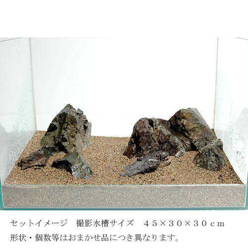 水草 風山石とキューバパールグラス ３０ｃｍ水槽用レイアウトセット 無農薬 本州四国限定の通販はau Pay マーケット チャーム