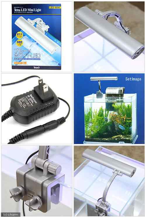 テトラ ｌｅｄミニライト ｌｅｄ ｍｉｎｉ 小型水槽用照明 熱帯魚 水草 アクアリウムライトの通販はau Pay マーケット チャーム