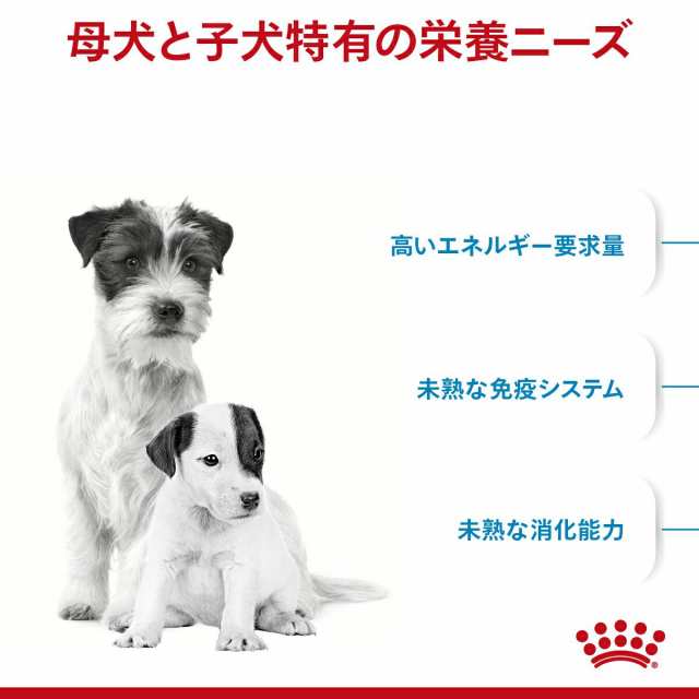 ロイヤルカナン 犬用 ドッグフード ミニ スターター マザー＆ベビー