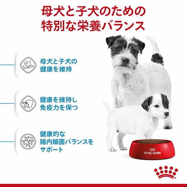 ロイヤルカナン 犬用 ドッグフード ミニ スターター マザー ベビードッグ 母犬 子犬用 １ｋｇ ジの通販はau Pay マーケット チャーム