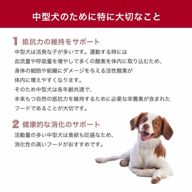 ロイヤルカナン 犬用 ドッグフード ミディアム アダルト 成犬用