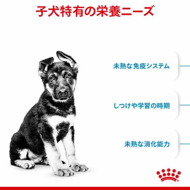 本日の目玉 ロイヤルカナン マキシ パピー 子犬用 １０ｋｇ