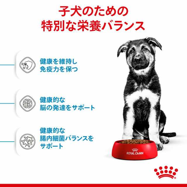 ロイヤルカナン 犬用 ドッグフード マキシ パピー 子犬用 １０ｋｇ