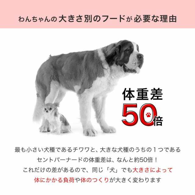 ロイヤルカナン 犬用 ドッグフード　マキシ　アダルト　成犬用　１０ｋｇ　３１８２５５０７７４５８１　ジップ付　大型犬　お一人様５点限りの通販は