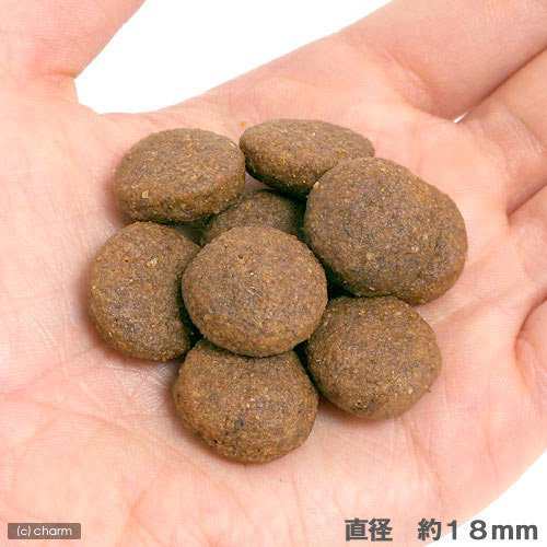 ロイヤルカナン 犬用 ドッグフード　マキシ　アダルト　成犬用　１０ｋｇ　３１８２５５０７７４５８１　ジップ付　大型犬　お一人様５点限りの通販は