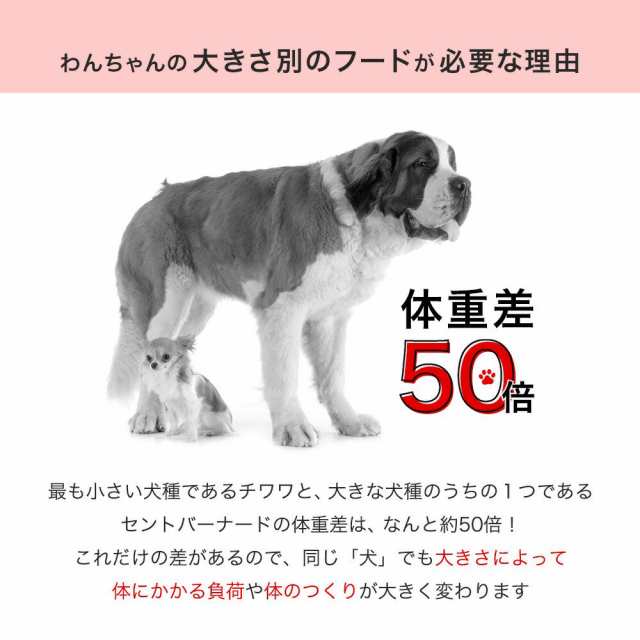 ロイヤルカナン 犬用 ドッグフード マキシ アダルト 成犬用 １５ｋｇ