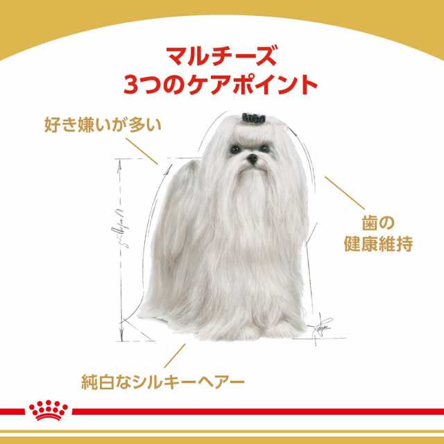 ロイヤルカナン BHN マルチーズ 成犬・高齢犬用 1.5kg