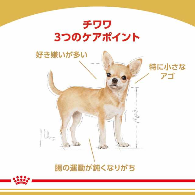 ロイヤルカナン 犬用 ドッグフード チワワ 成犬用 １．５ｋｇ ３１８２５５０７２８１０２ ジップ付 お一人様５点限りの通販はau PAY マーケット  - チャーム