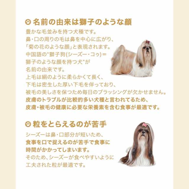 ロイヤルカナン 犬用 ドッグフード シーズー 成犬・高齢犬用 １