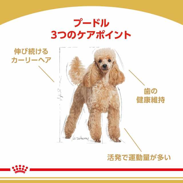 ロイヤルカナン 犬用 ドッグフード プードル 成犬用 ７．５ｋｇ